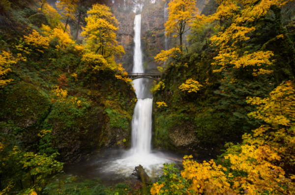 Multnomah Falls in fall